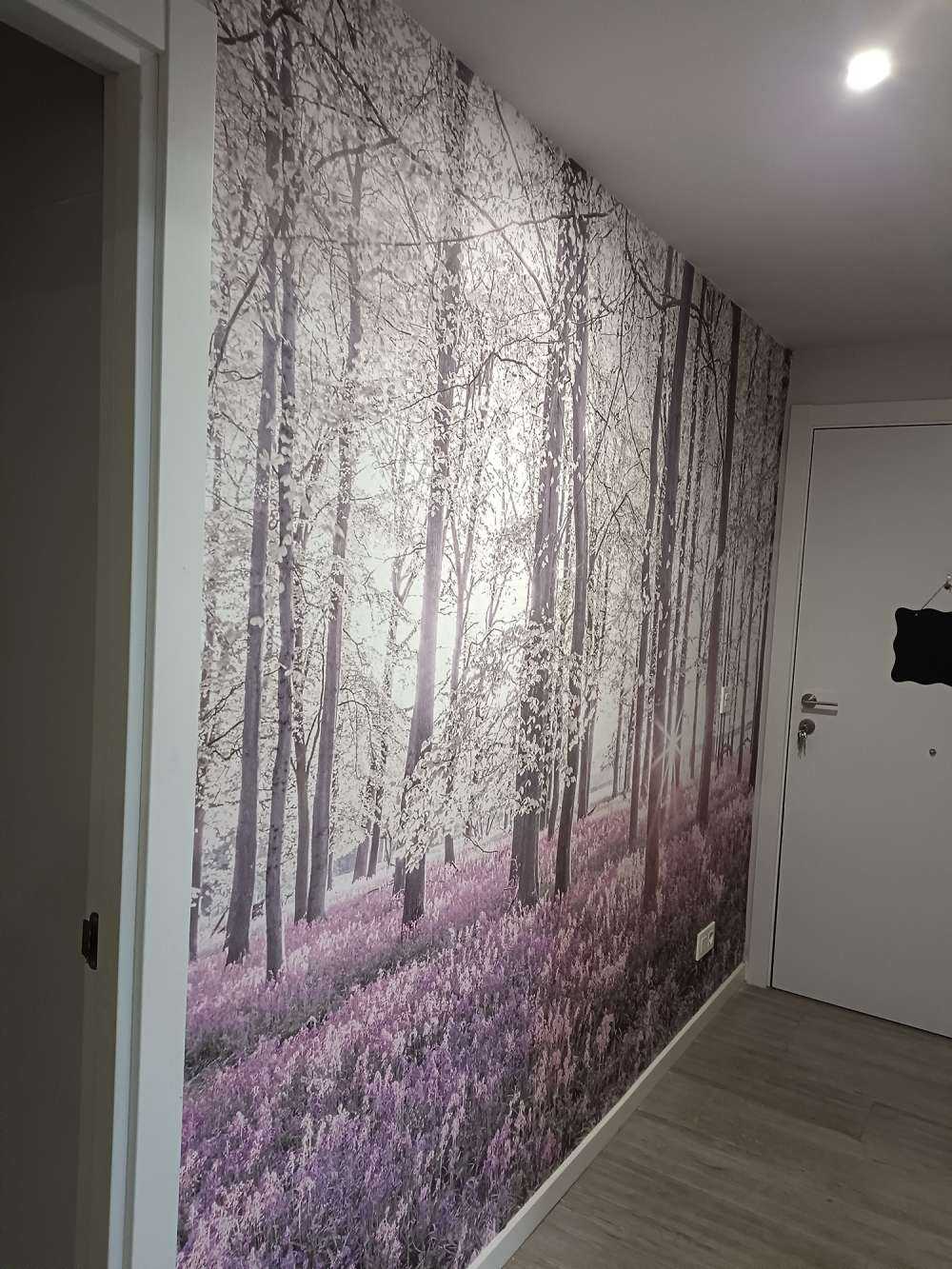 Forest in spring