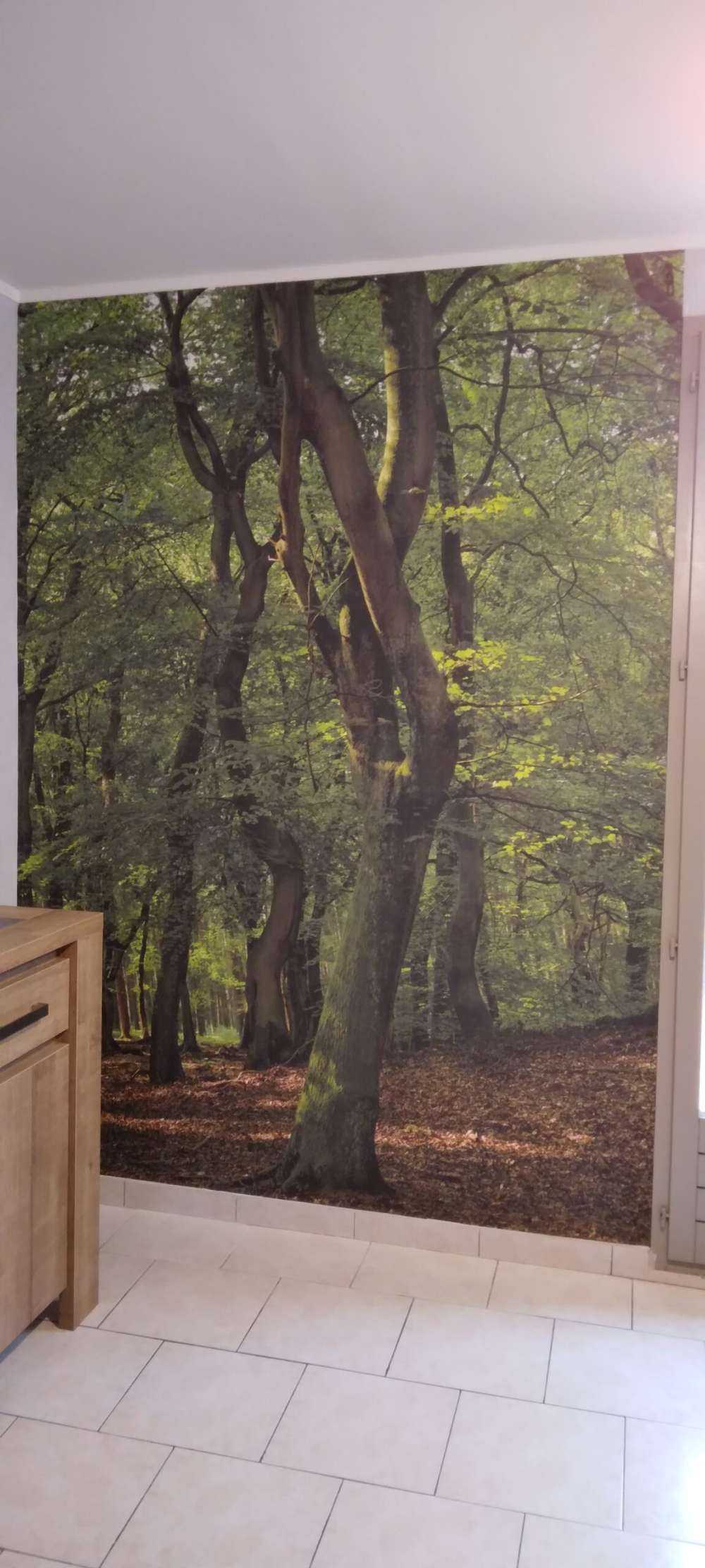 Trees with green leaves