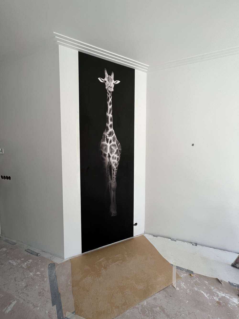Giraffe black and white