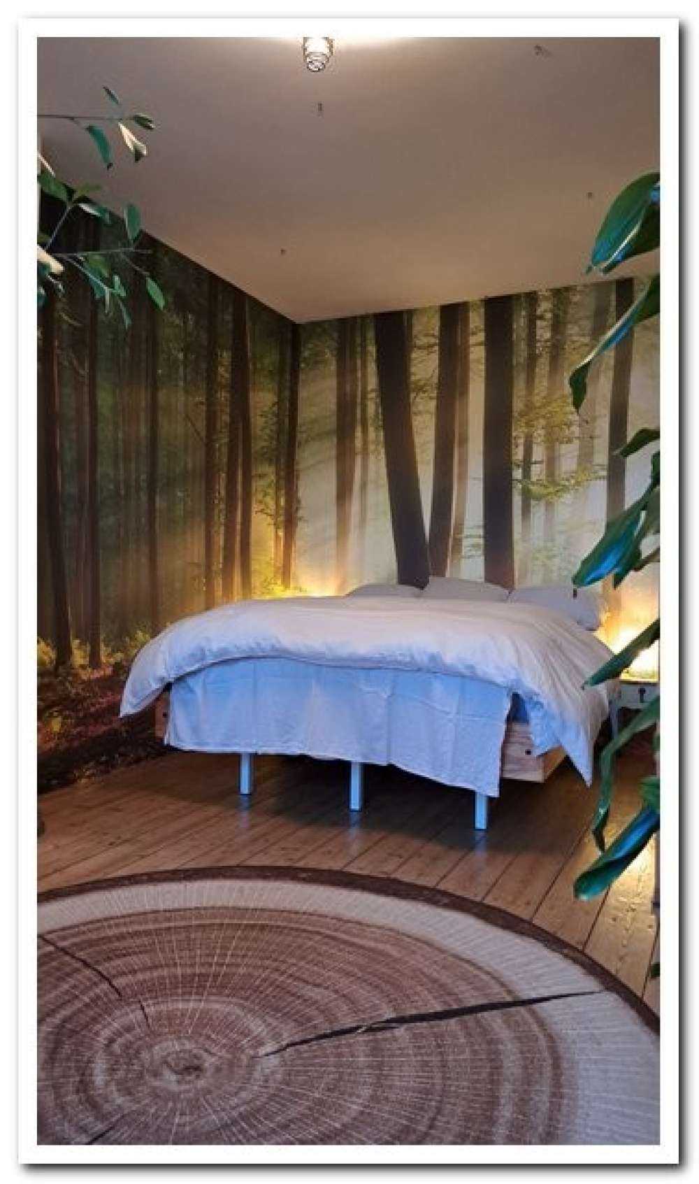 Morning sun among the trees