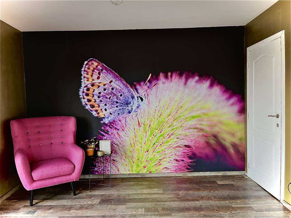 Red butterfly on flower