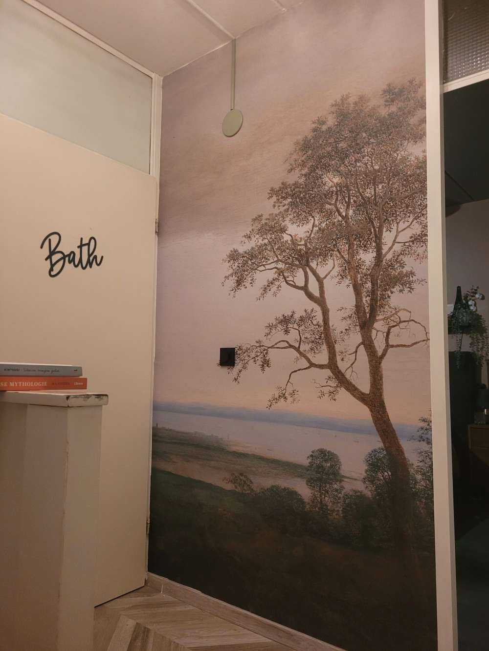 River landscape seen through trees