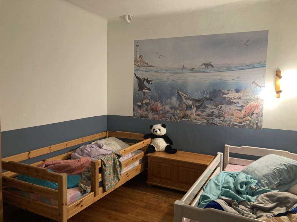 Ocean Landscape with Animals in Color