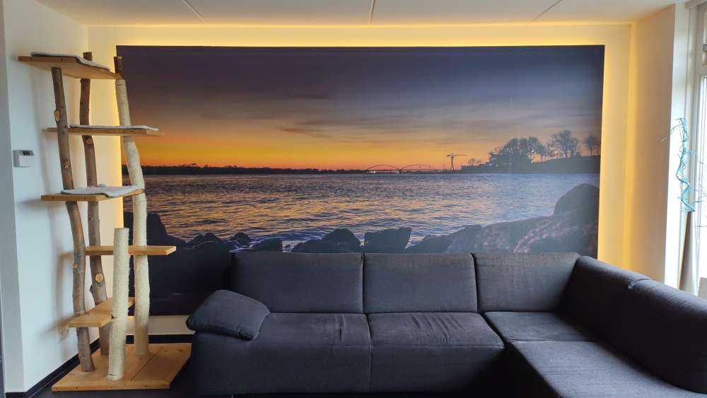 The beginning of the day