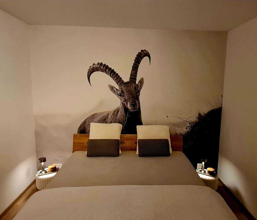 Capricorn in the mountains