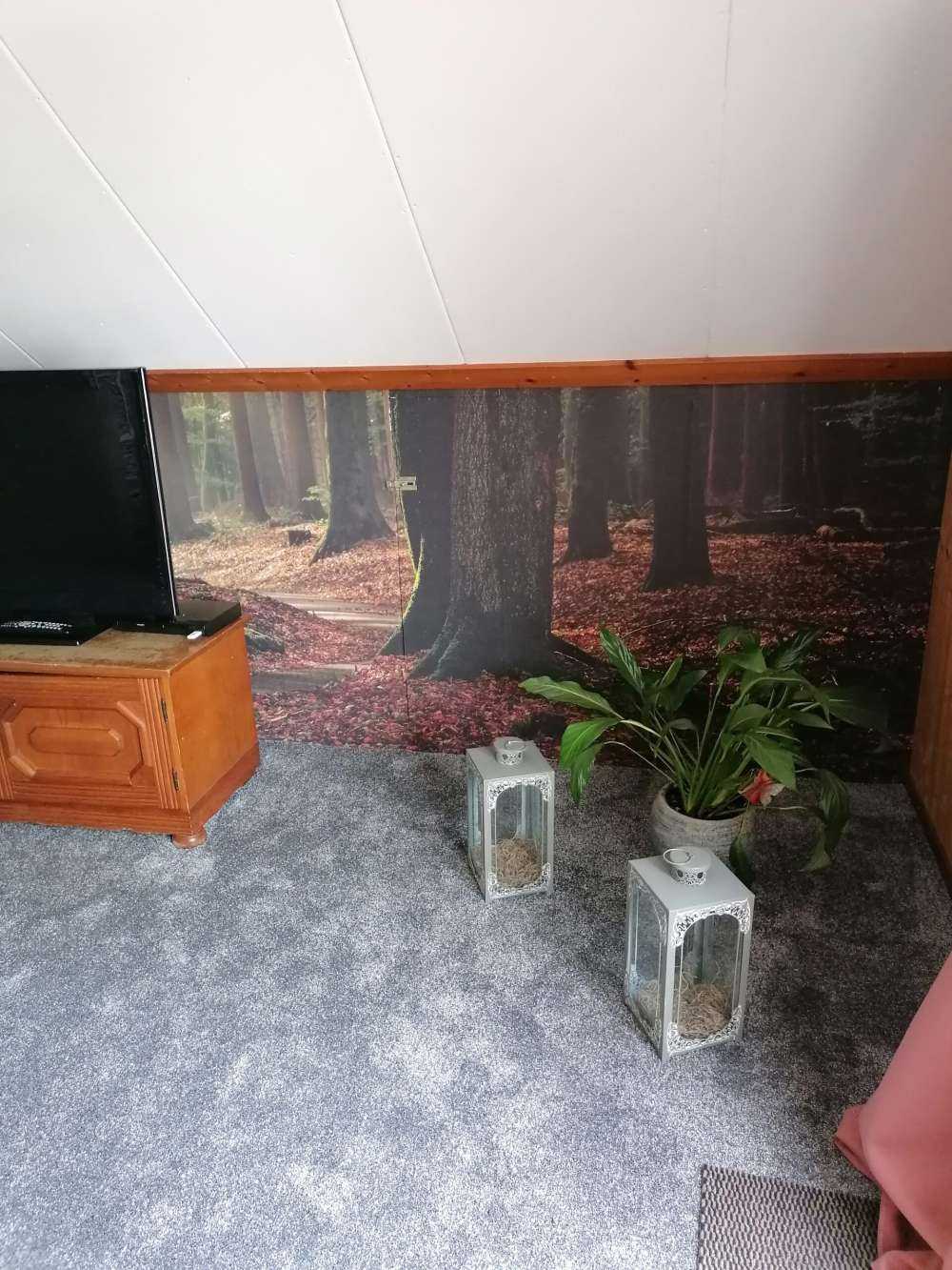 Sun rays at path through the forest