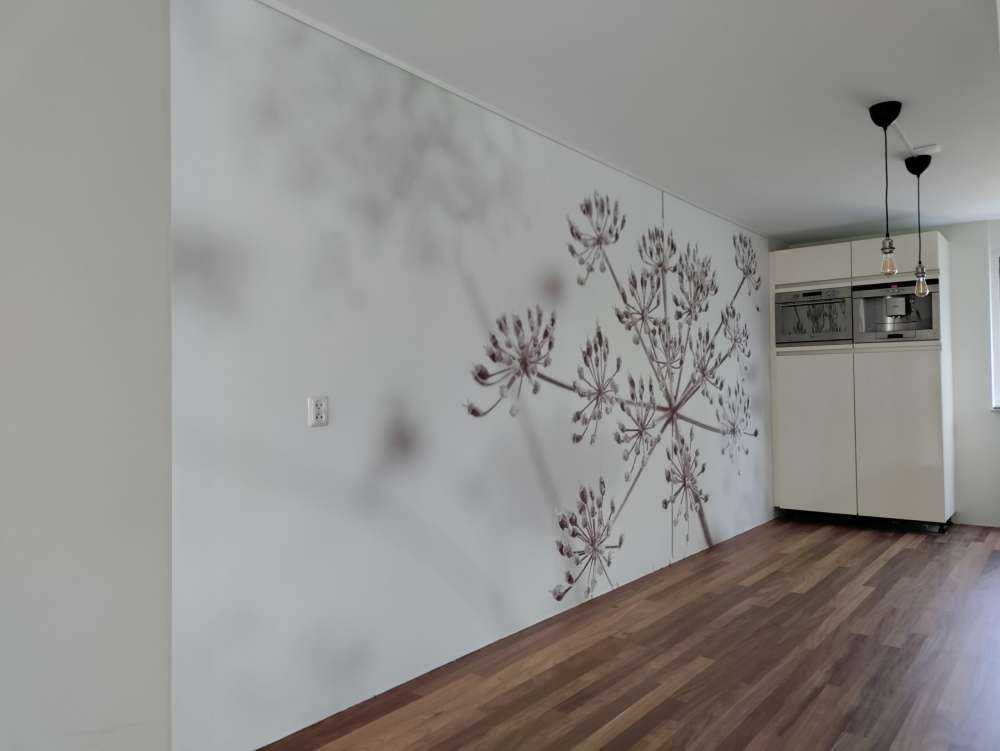 Close-up cow parsley