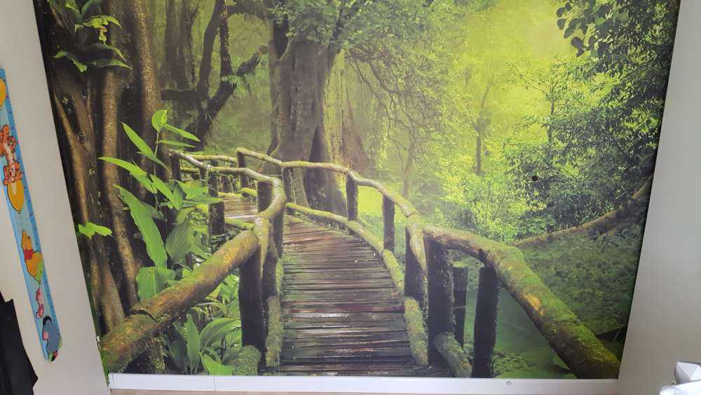 Wooden bridge through a green jungle