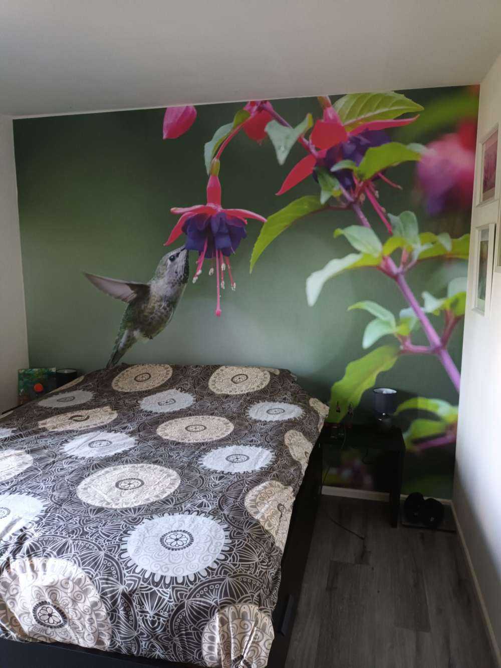 Hummingbird drinking