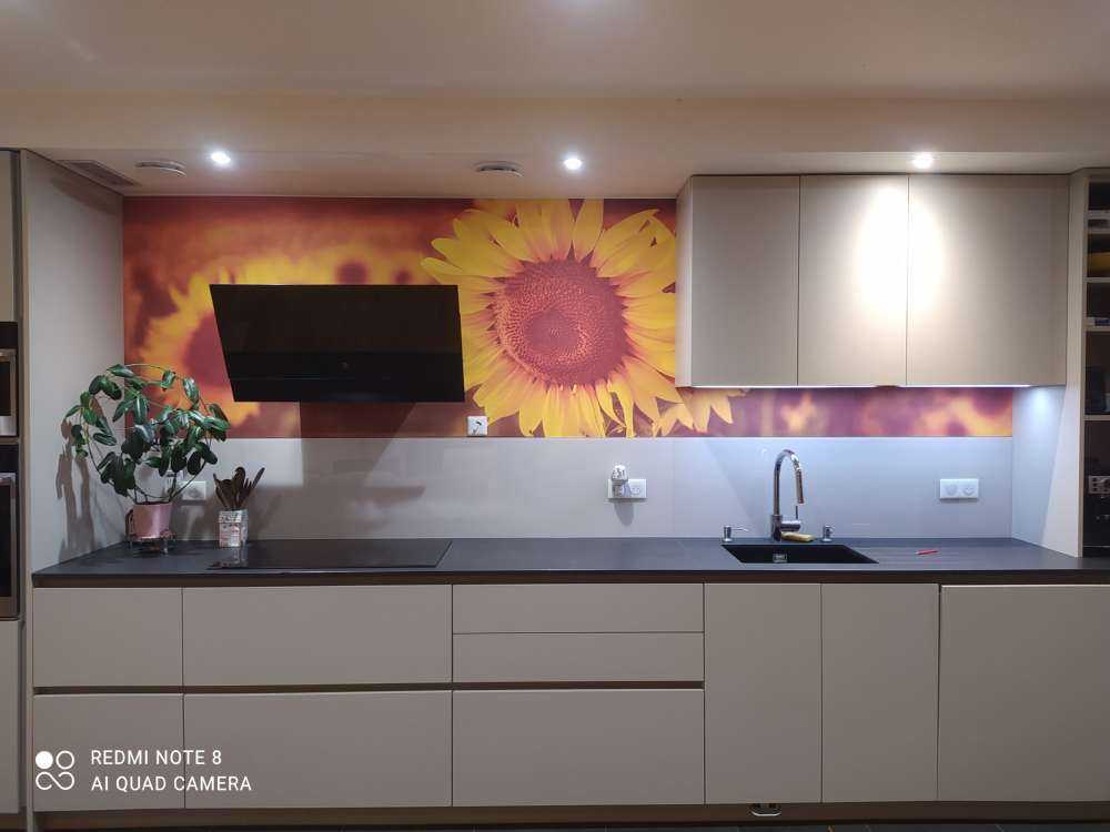 Sunflowers in sunlight