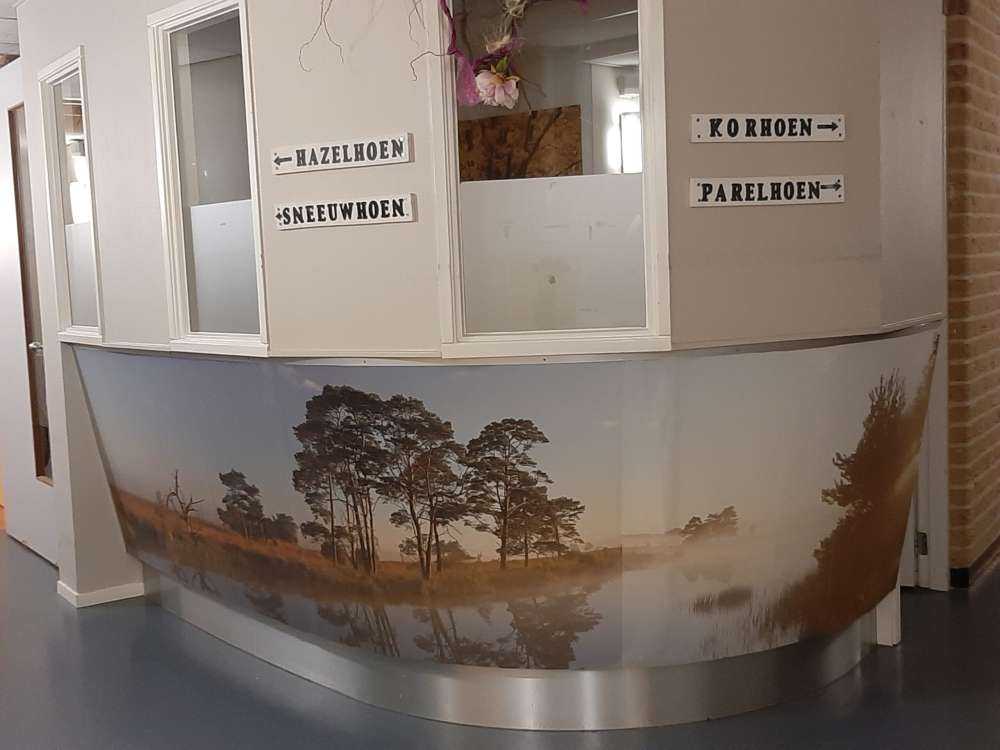 Reflection in moorland