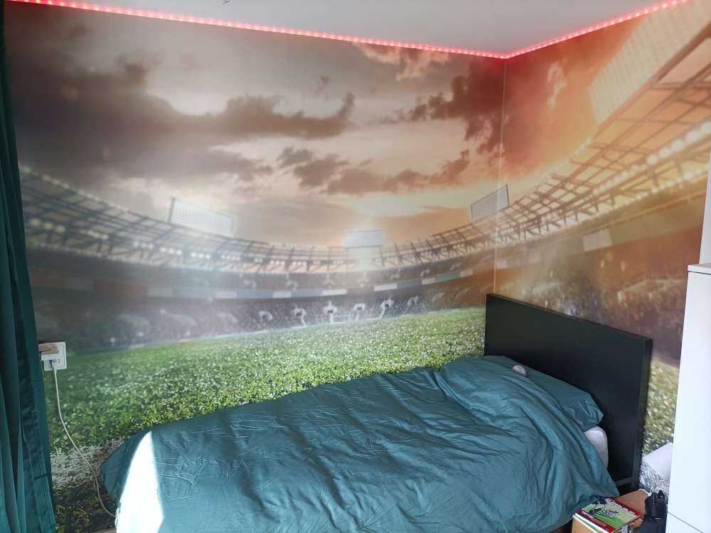 Stadium with artificial turf