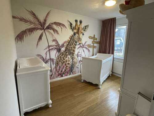 Baby giraffe in the jungle pink