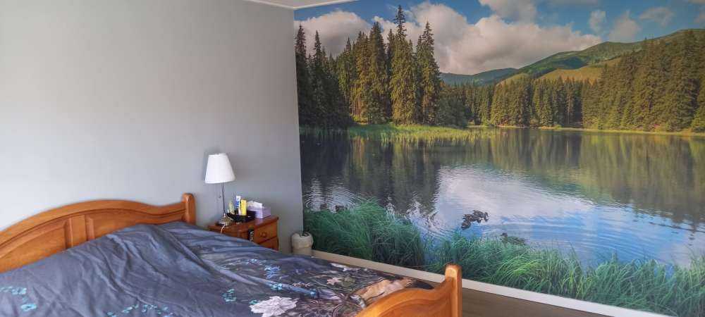 Lake in the forest