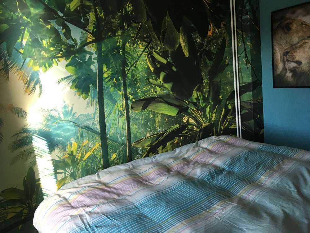 Mysterious jungle