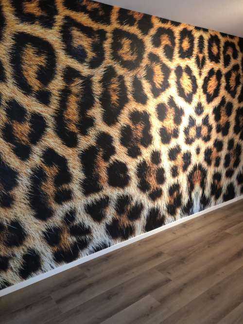 Leopard coat
