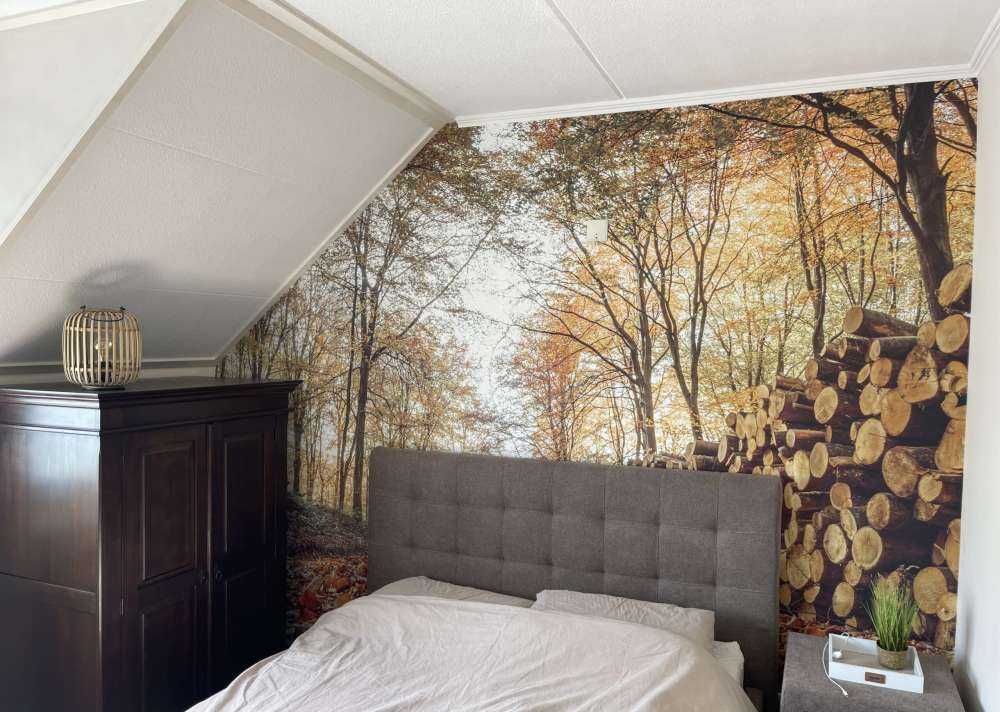 Tree trunks in autumn forest