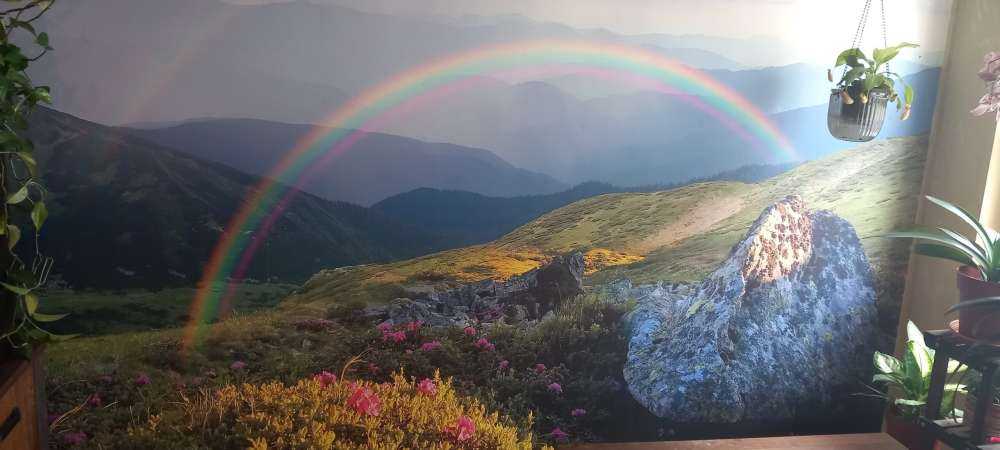 Landscape with flowers
