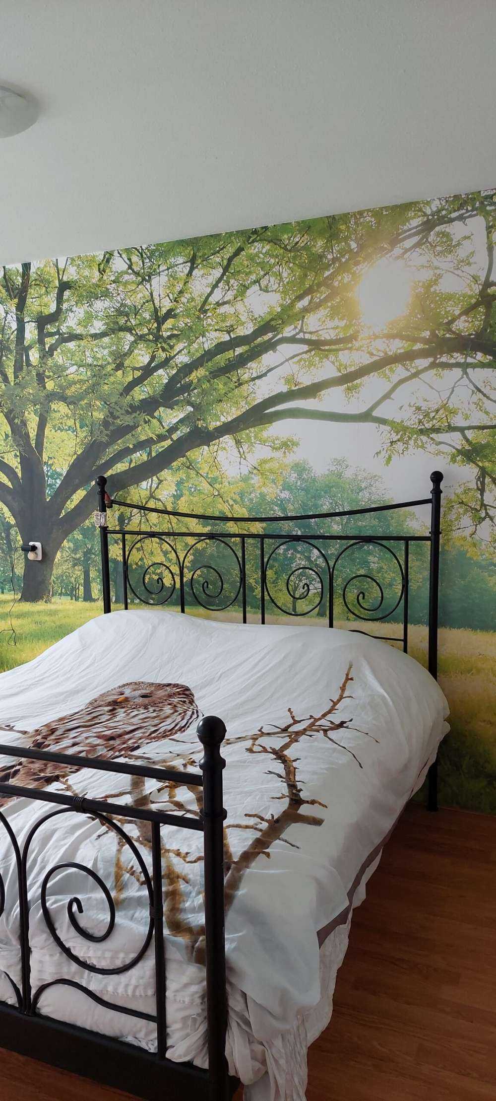 Beautiful tree with green grass