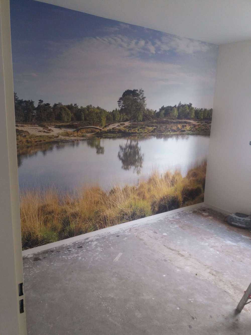 A small forest lake in the heathland area