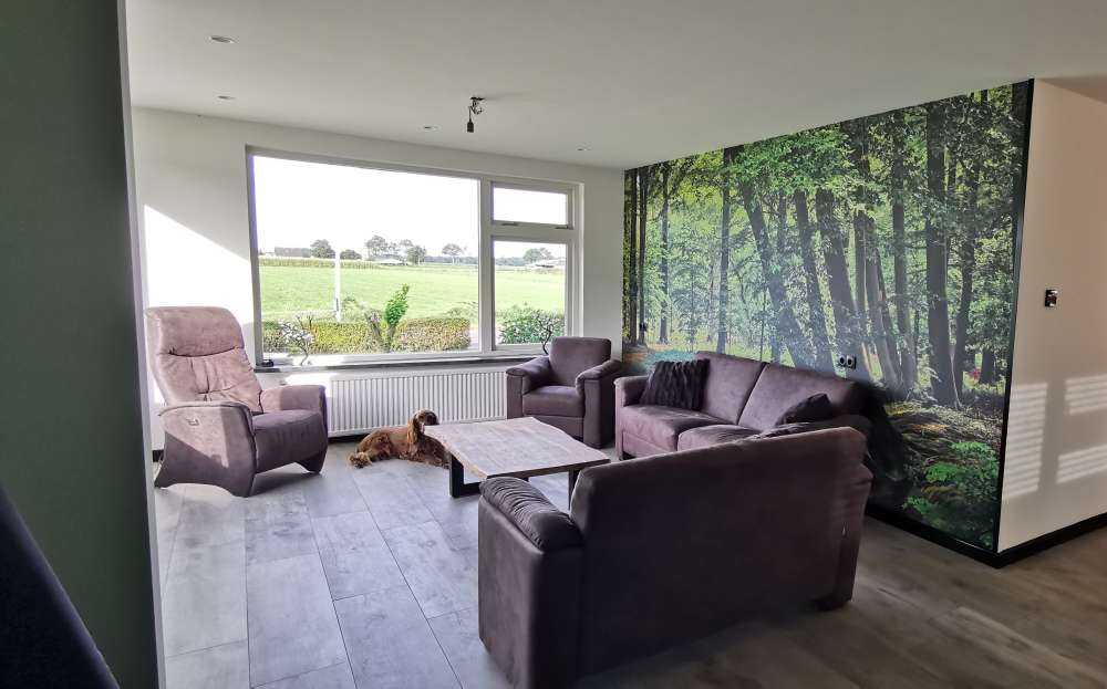 Bent trees by the water