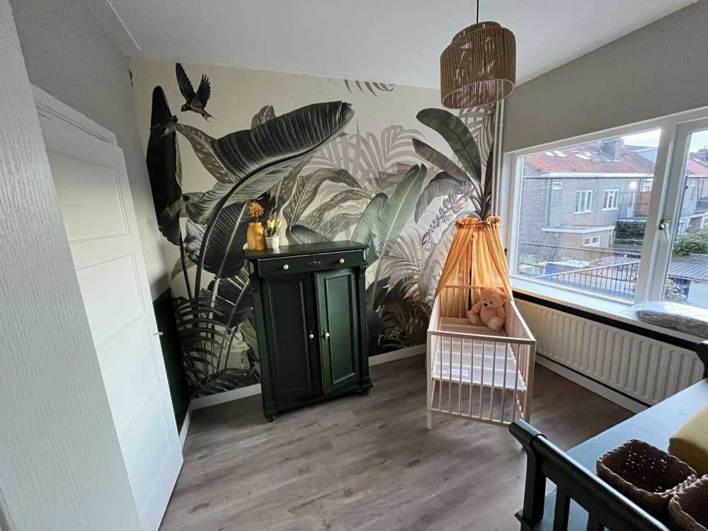 Plants in the jungle