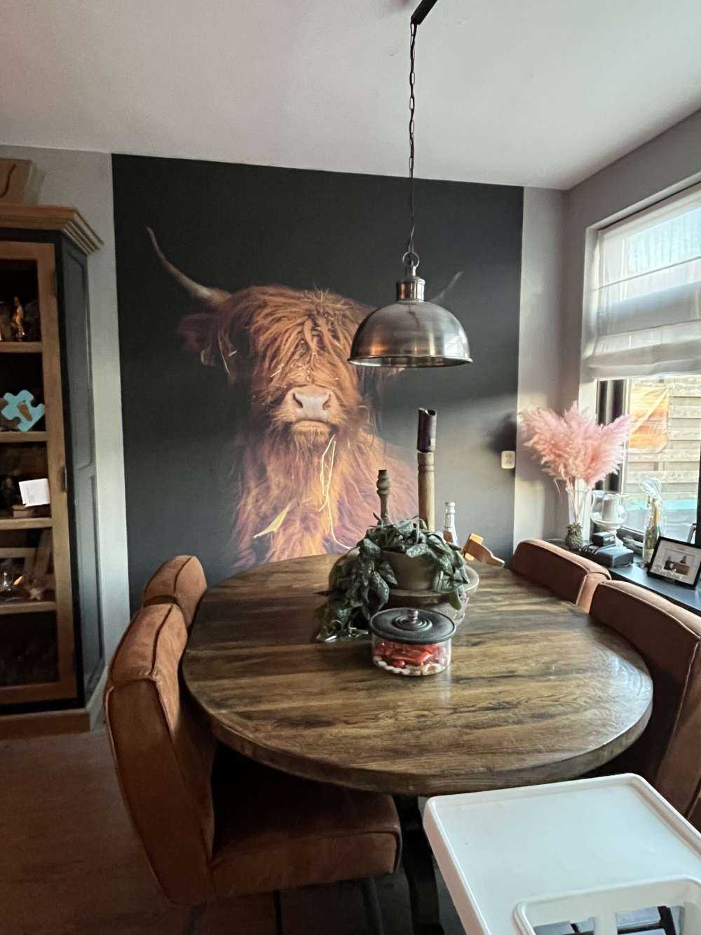 Portrait Scottish Highlander