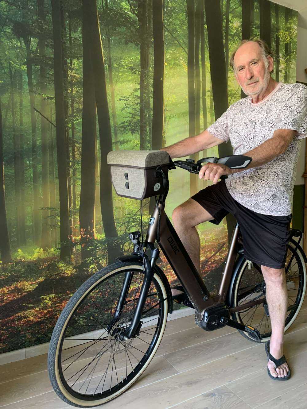 Morning sun among the trees