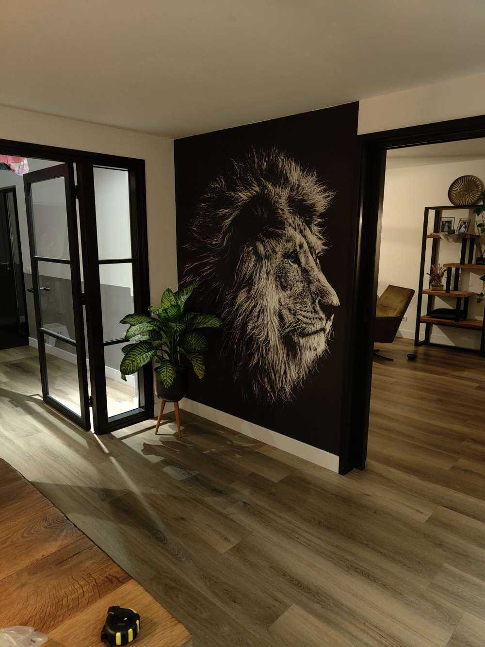Lion with blue eyes
