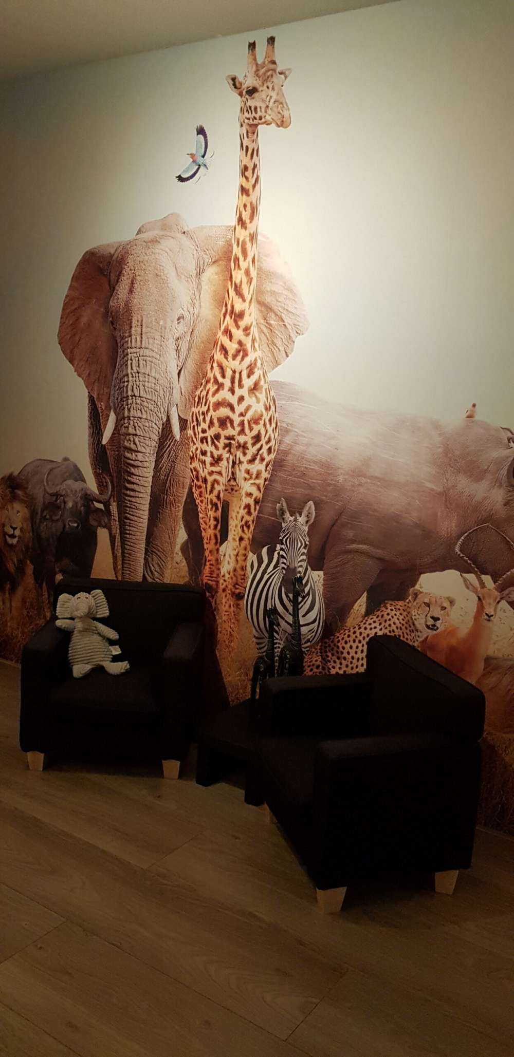 Animals in the savannah