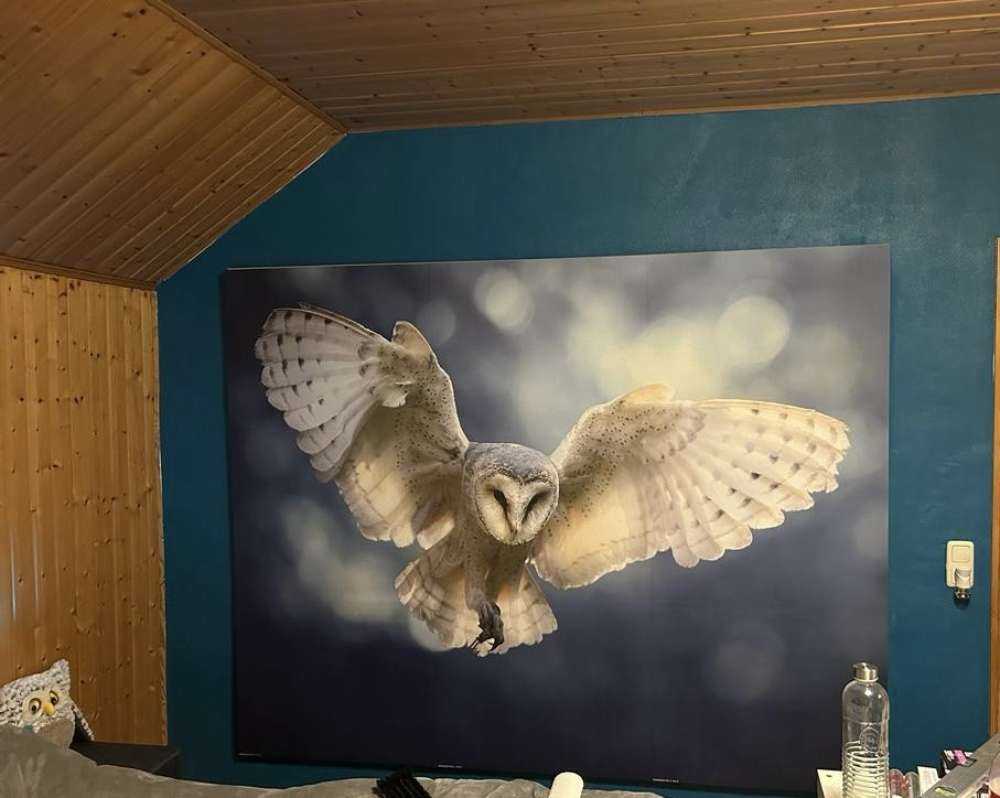 Flying owl