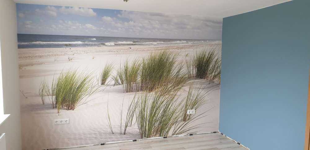 Beach with dune plants
