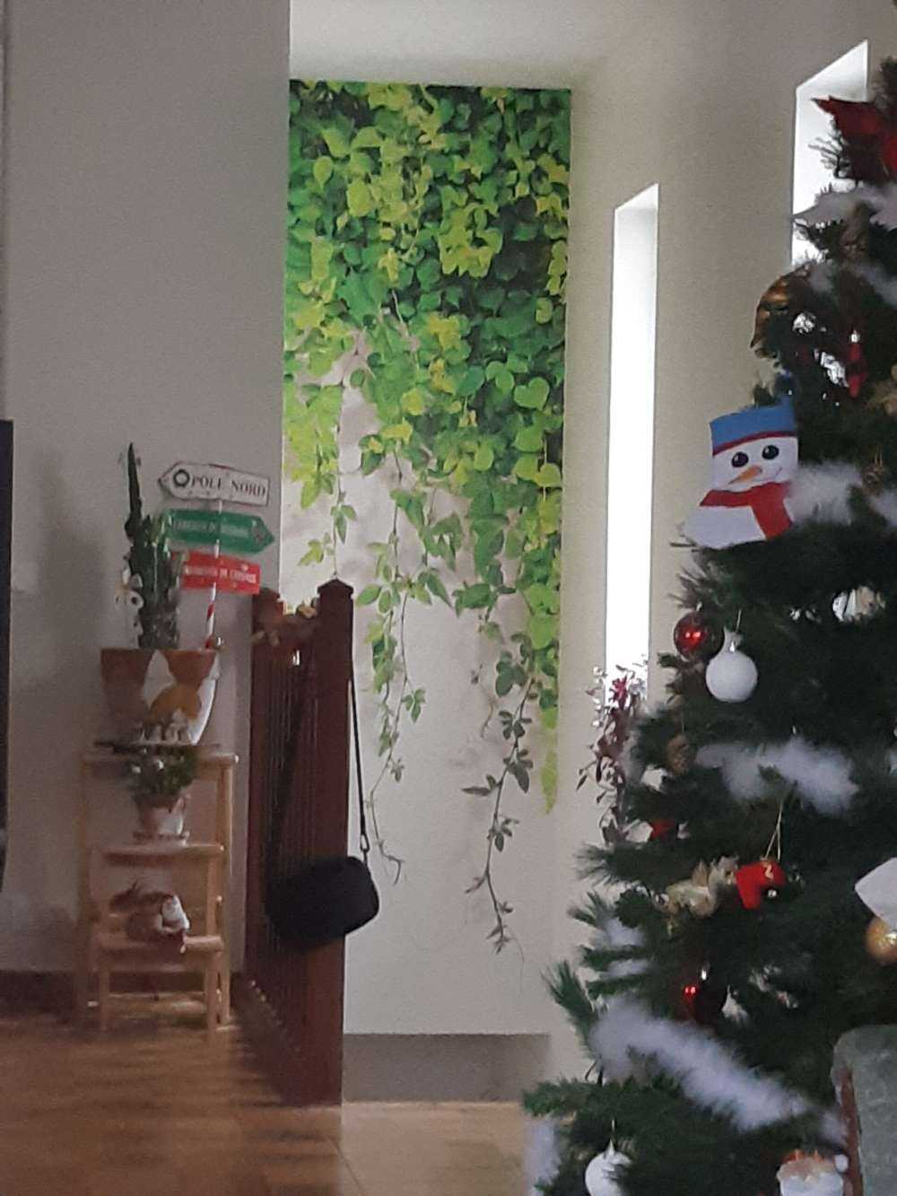 Green hanging branches