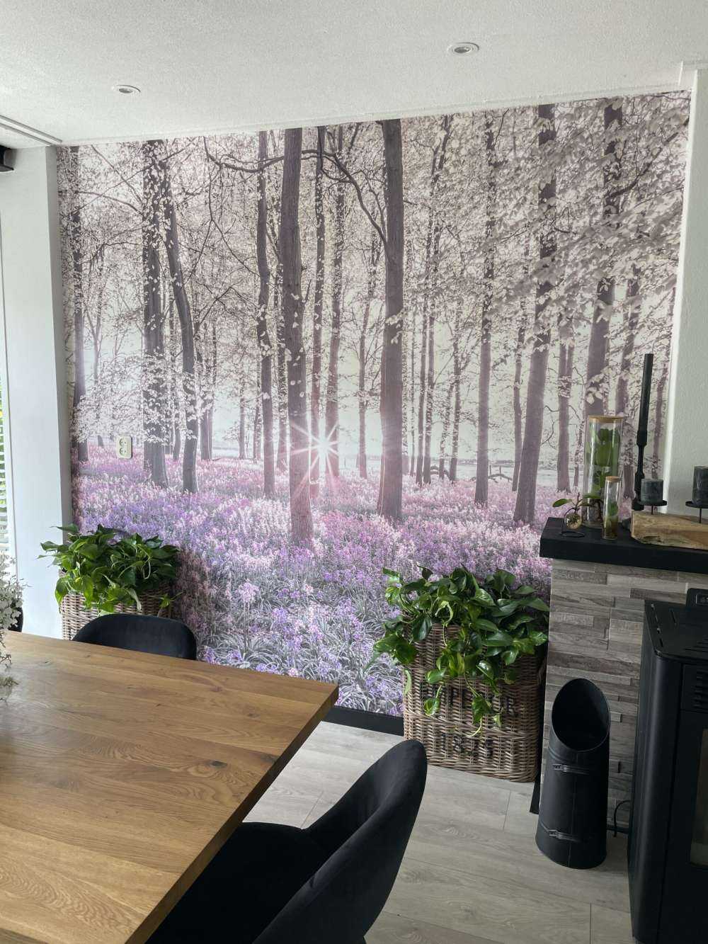 Forest in spring