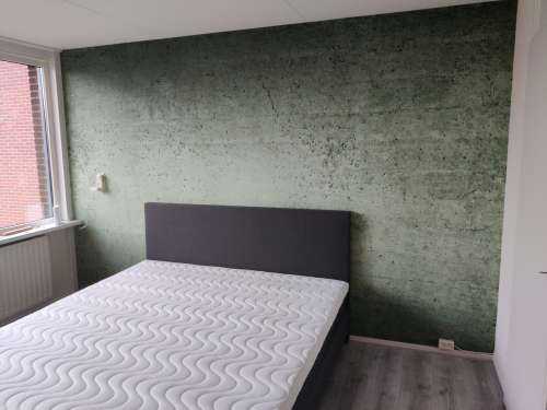 Green concrete wall
