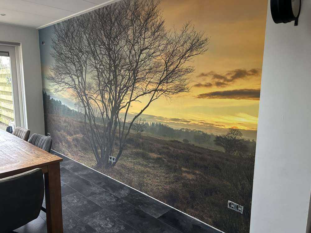 Sunrise on the heath