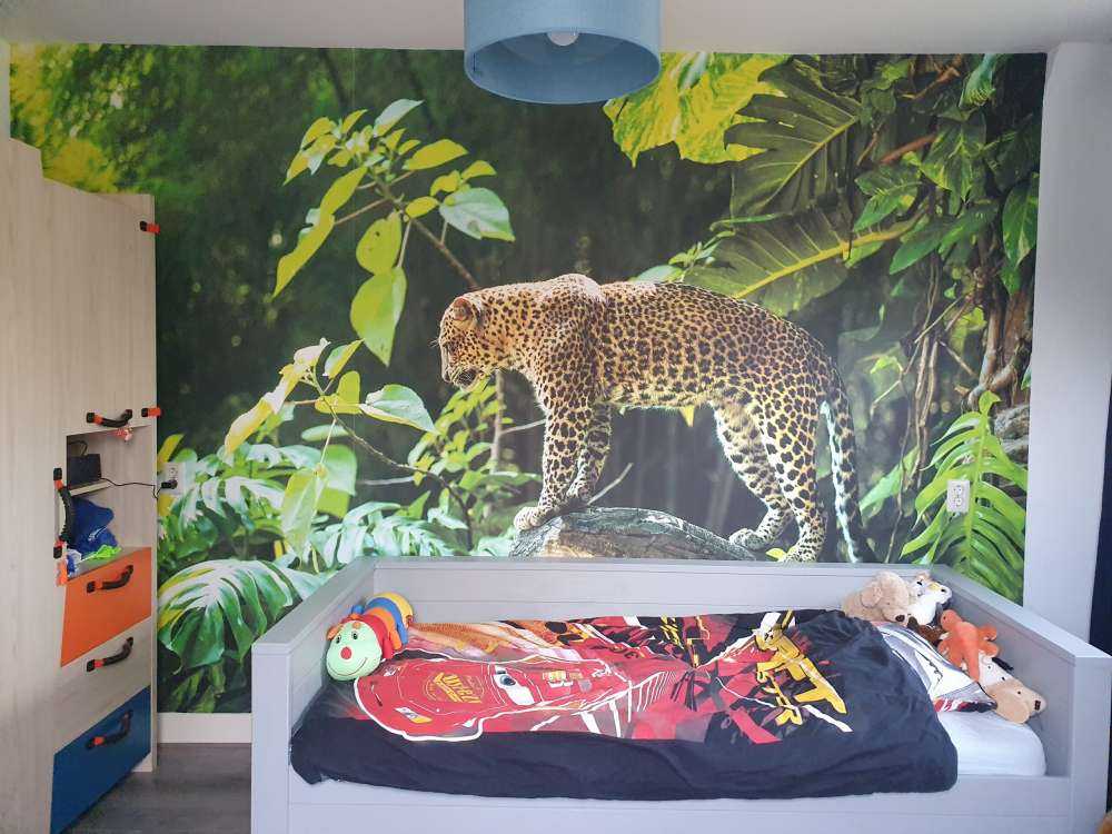 Leopard on a rock face