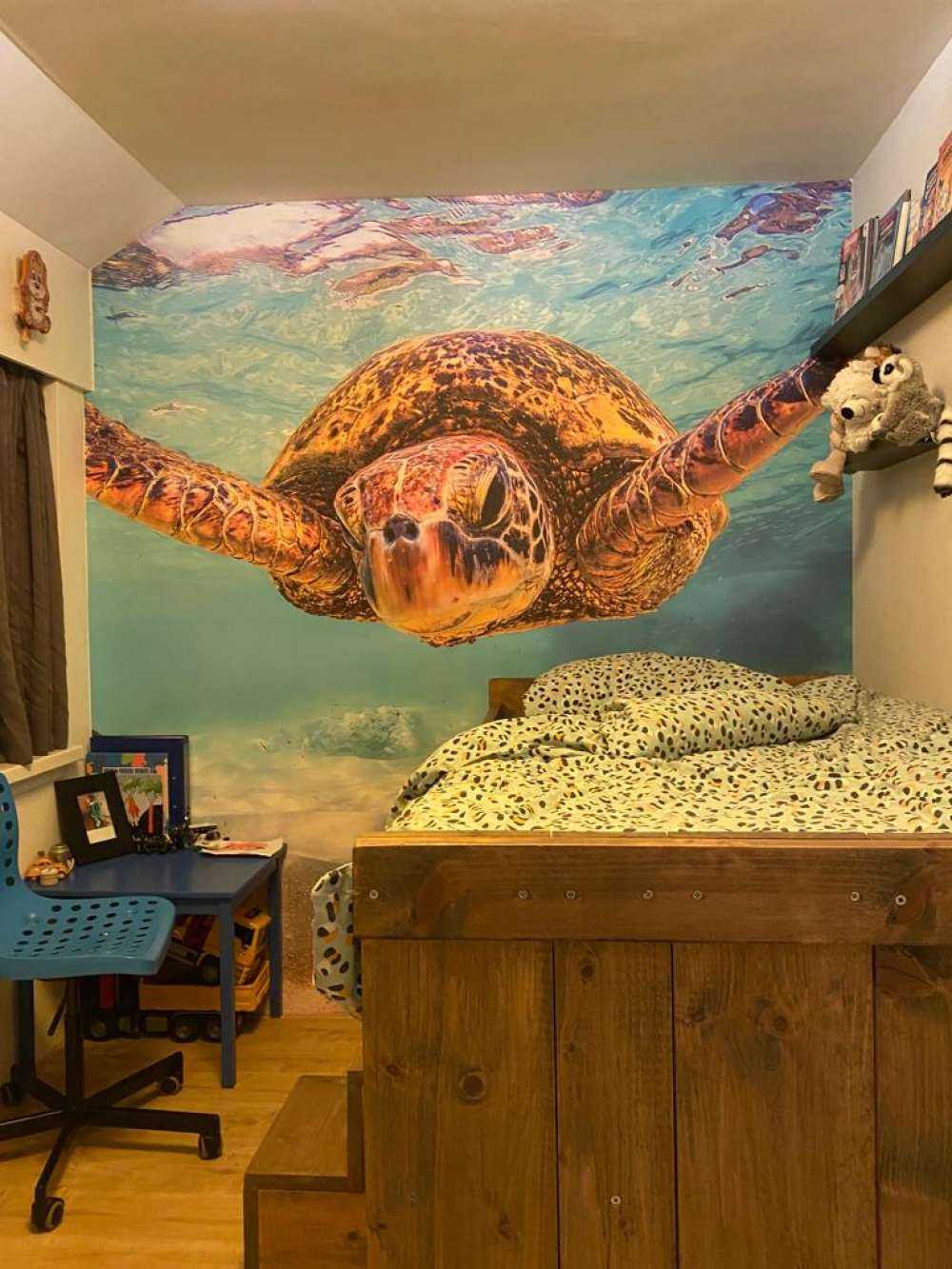 Sea turtle in the ocean