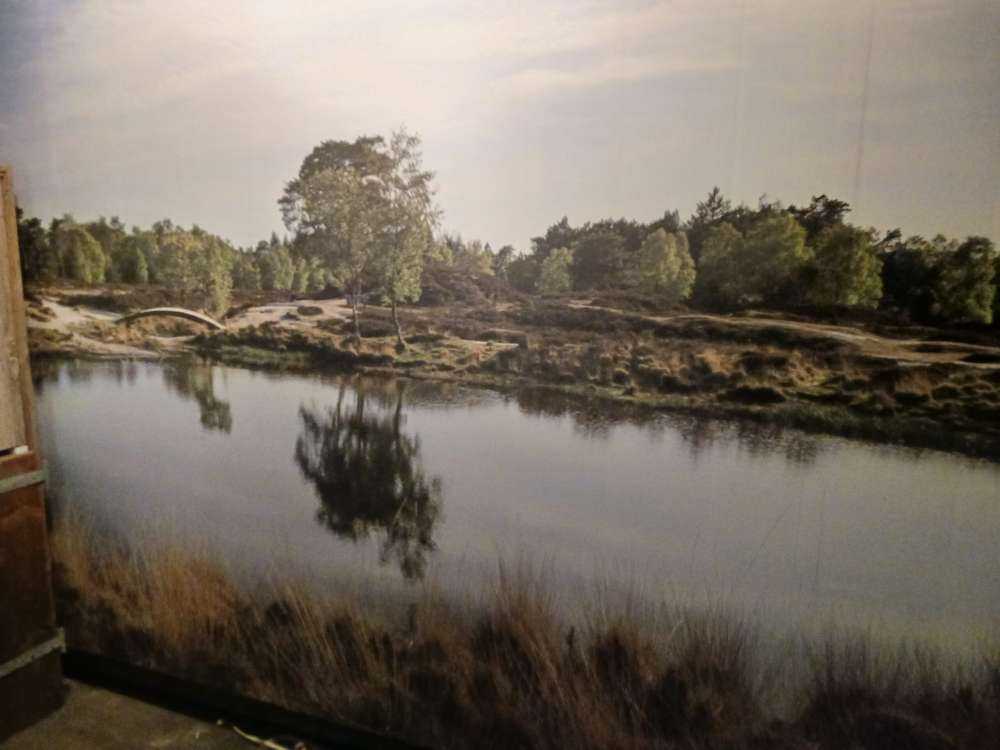 W01736