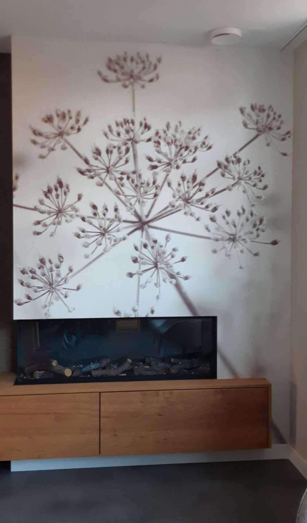 Close-up cow parsley