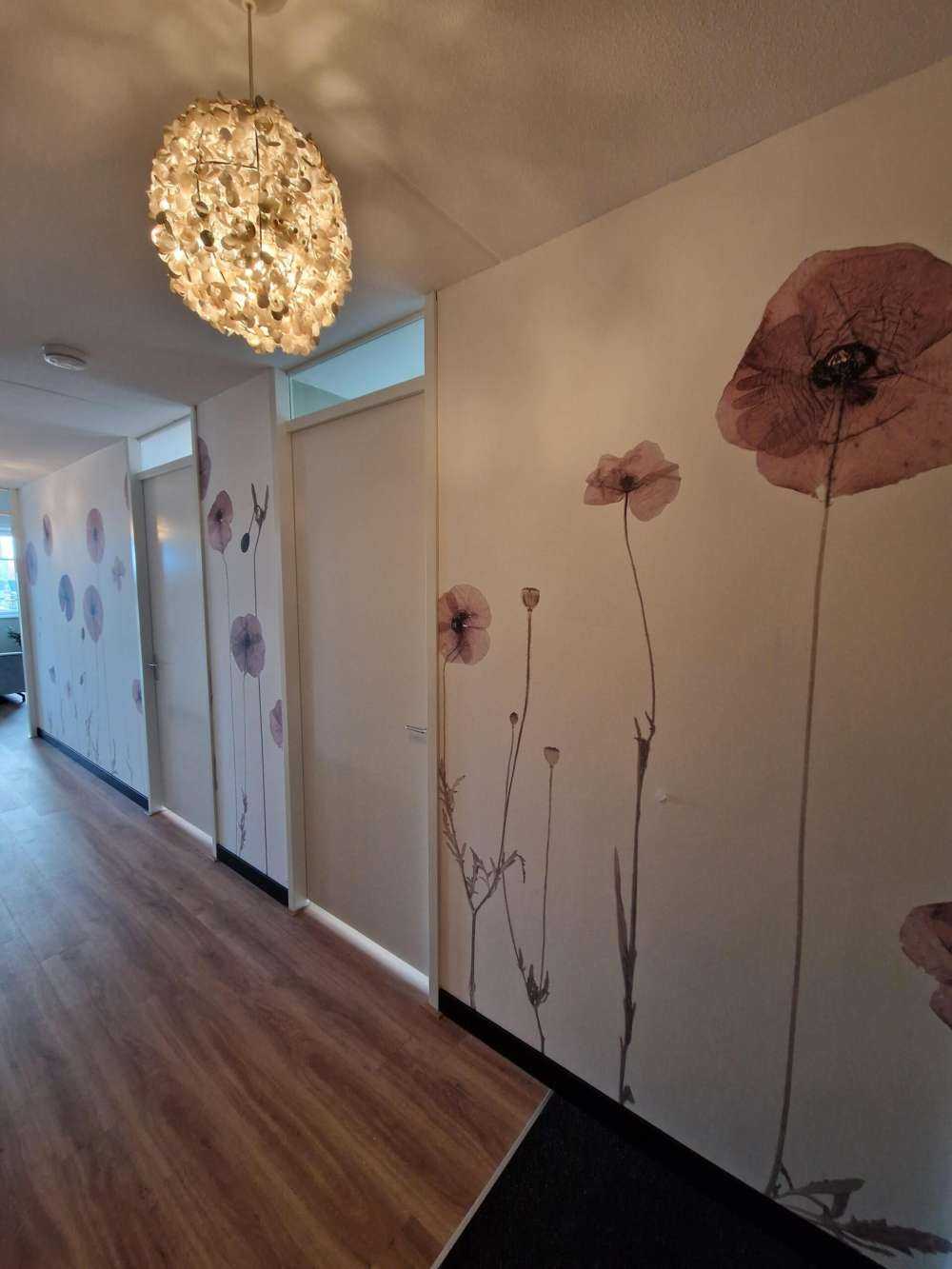 Poppy flower field vintage