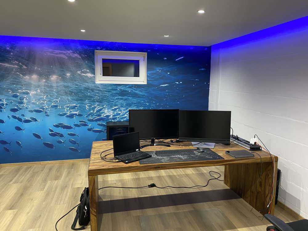 School of fish