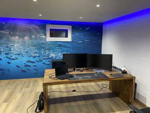 School of fish