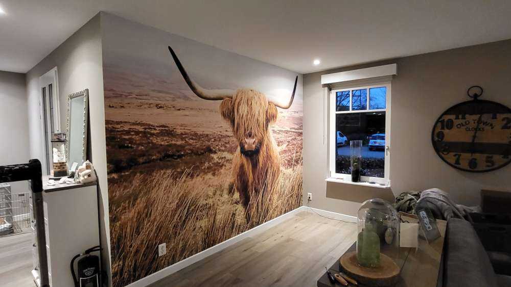 Scottish Highlander with reed