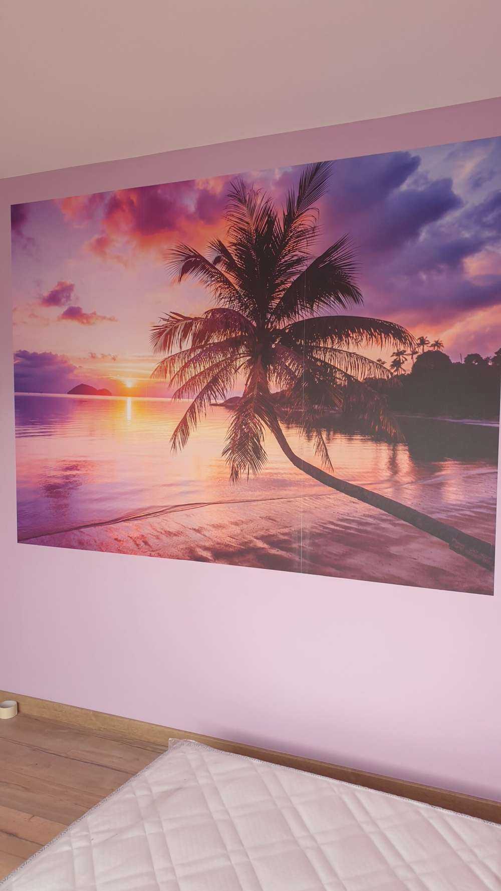 Palm tree at a sunset