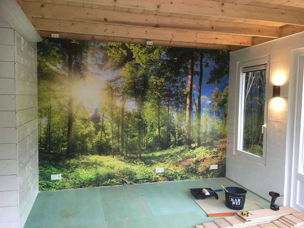 Forest with sunbeams