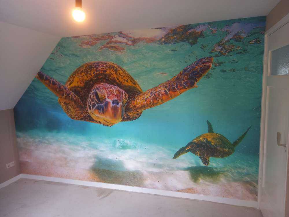 Sea turtle in the ocean