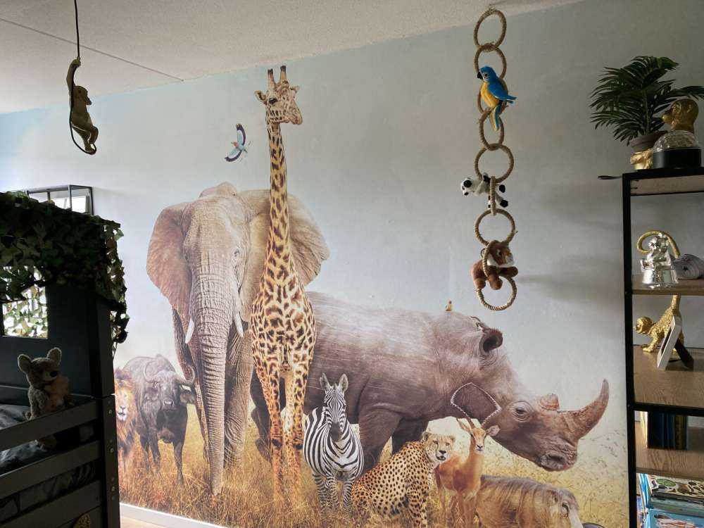 Animals in the savannah