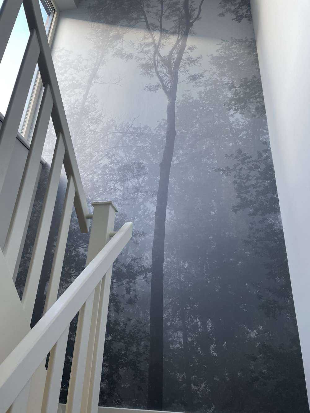 Dense fog in the forest