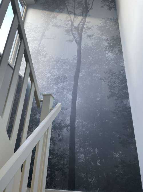 Dense fog in the forest